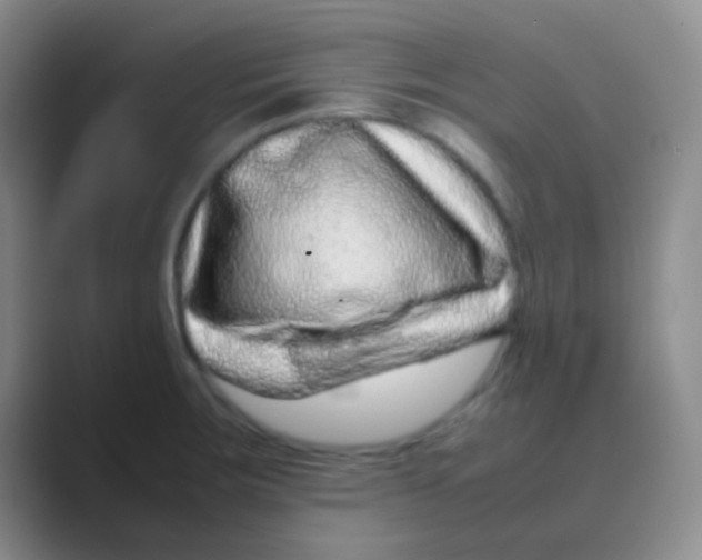 X0000088721283200706282056