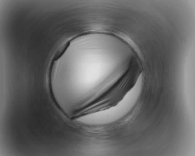 X0000088721285200706282056