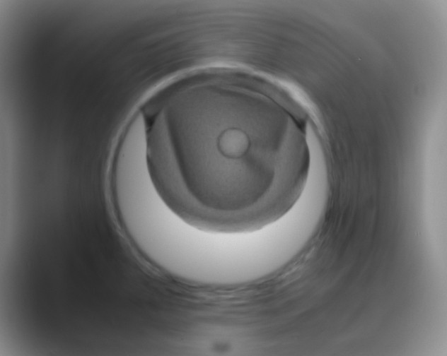 X0000088721287200706282056