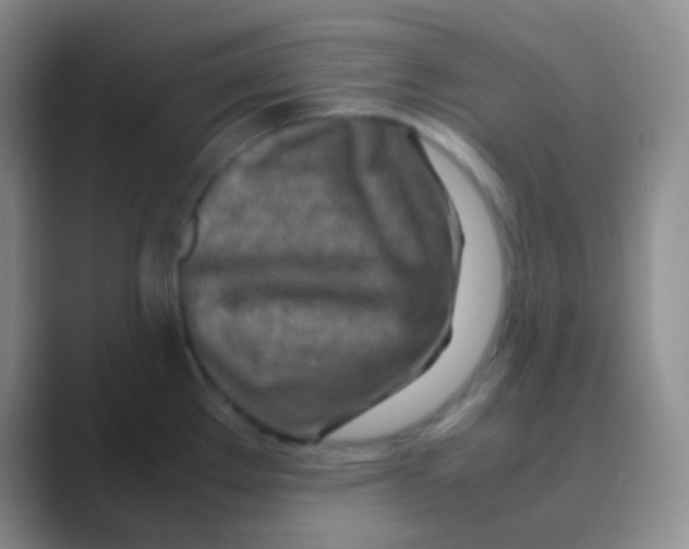 X0000088721289200706282056