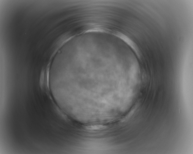 X0000088721290200706282056