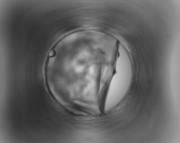 X0000088721291200706282056