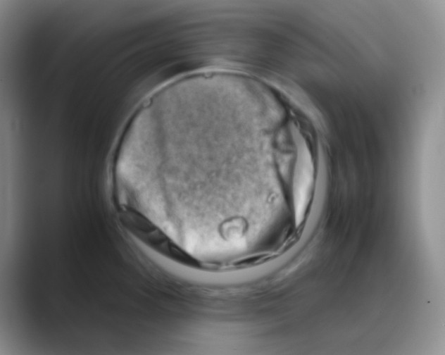 X0000088721292200706282056