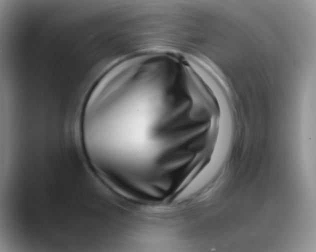 X0000088721293200706282056