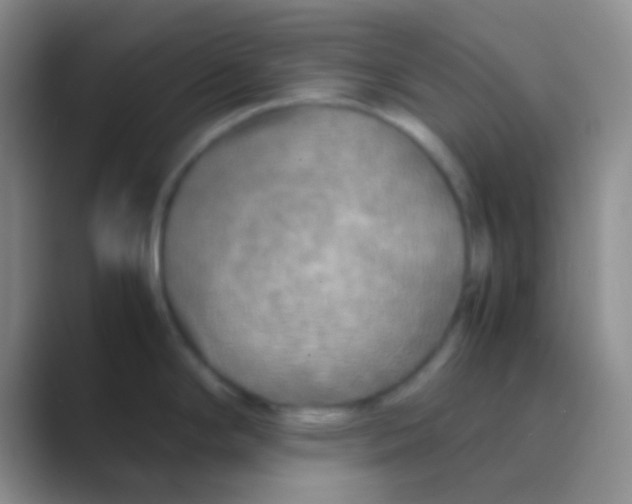 X0000088721294200706282056