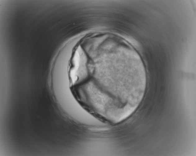 X0000088721296200706282056