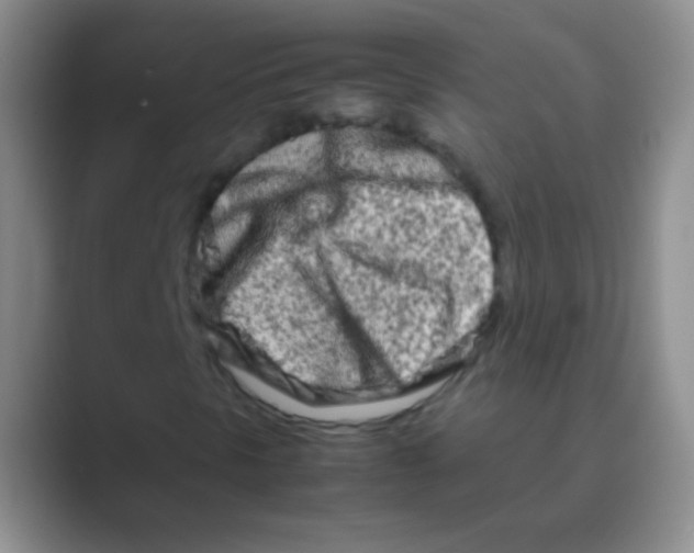 X0000088721297200706282055