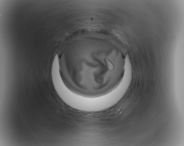 X0000088721298200706282055