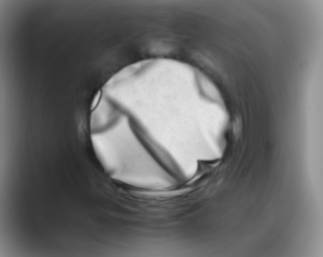 X0000088721299200706282055