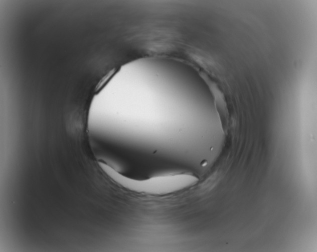 X0000088721300200706282055