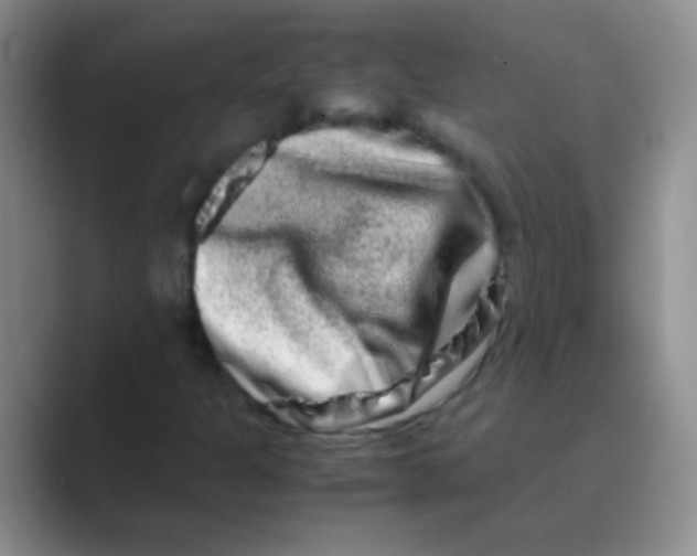 X0000088721301200706282055