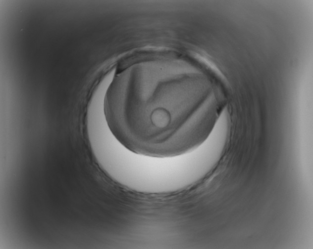 X0000088721304200706282055