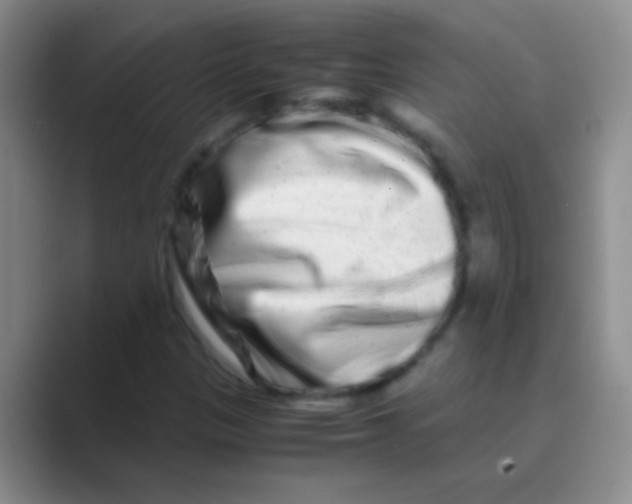 X0000088721305200706282055