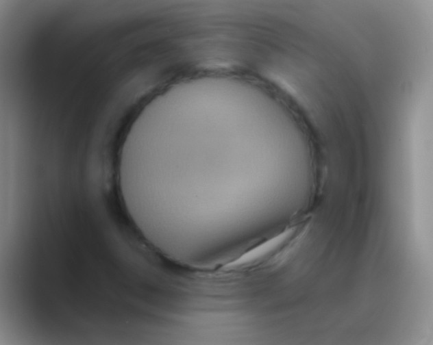 X0000088721306200706282055