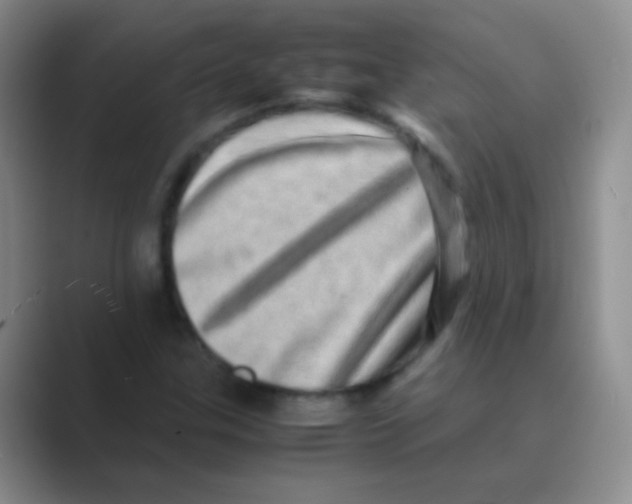 X0000088721307200706282055