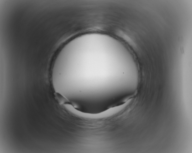 X0000088721308200706282055