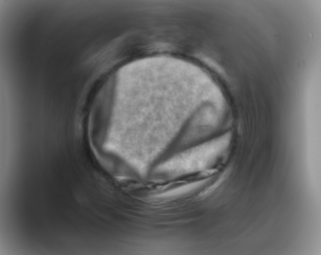 X0000088721309200706282055