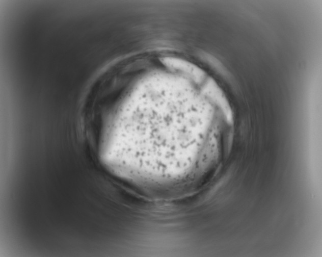 X0000088721310200706282055