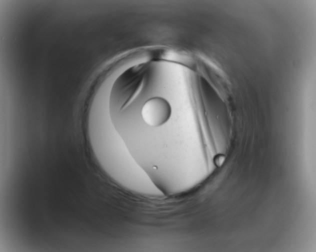 X0000088721311200706282055