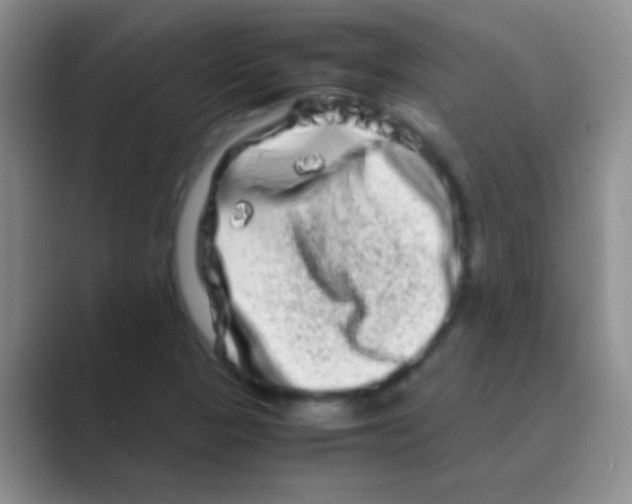 X0000088721313200706282055