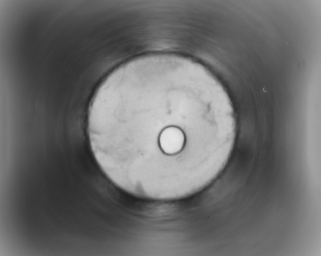 X0000088721314200706282055