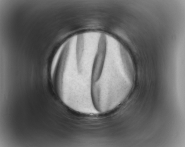 X0000088721315200706282055