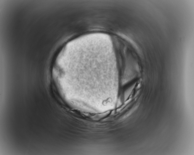 X0000088721317200706282055