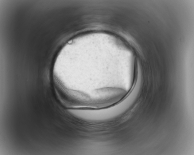 X0000088721318200706282055