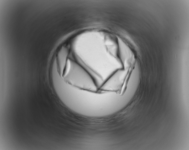 X0000088721320200706282055