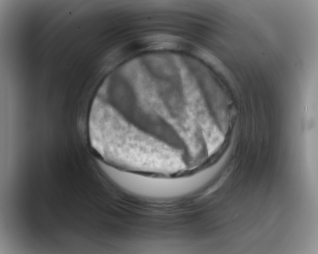 X0000088721321200706282056