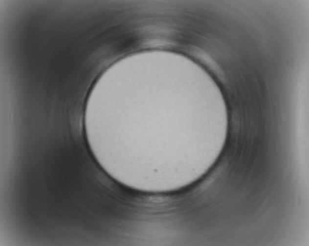 X0000088721322200706282056