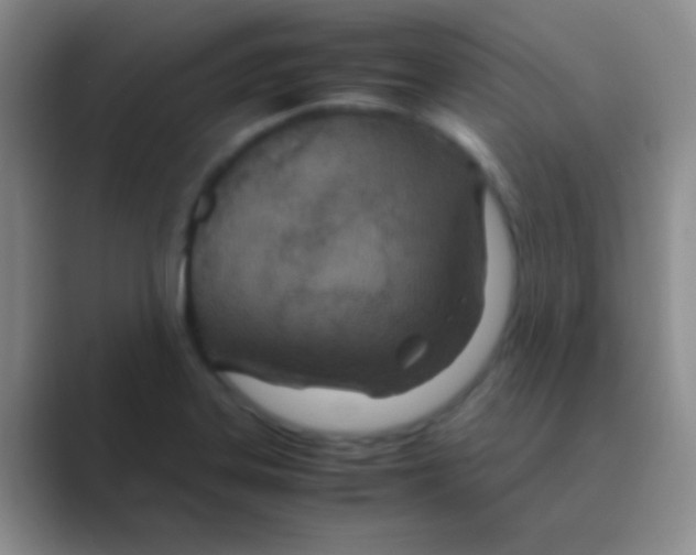 X0000088721323200706282056