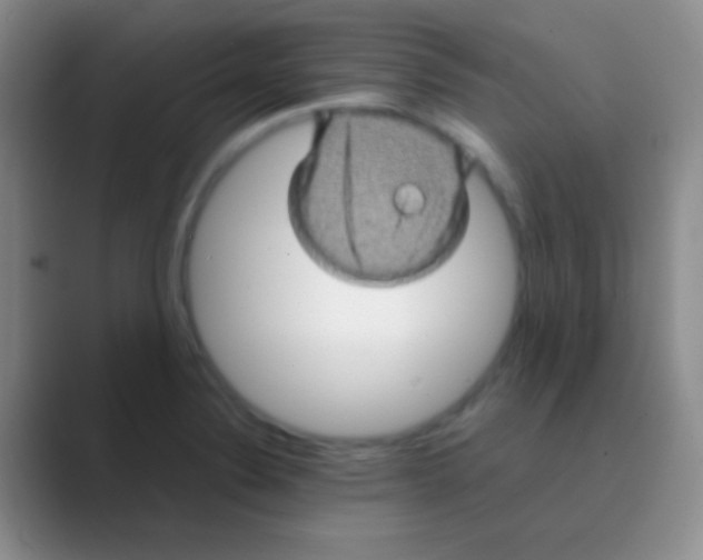 X0000088721324200706282056