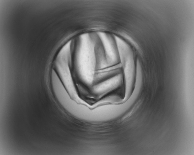 X0000088721325200706282056