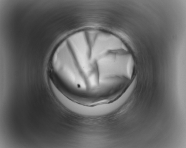 X0000088721326200706282056