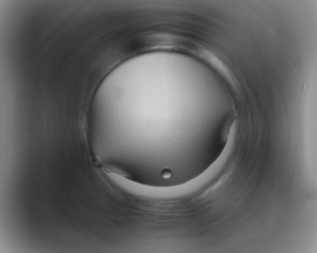 X0000088721329200706282056