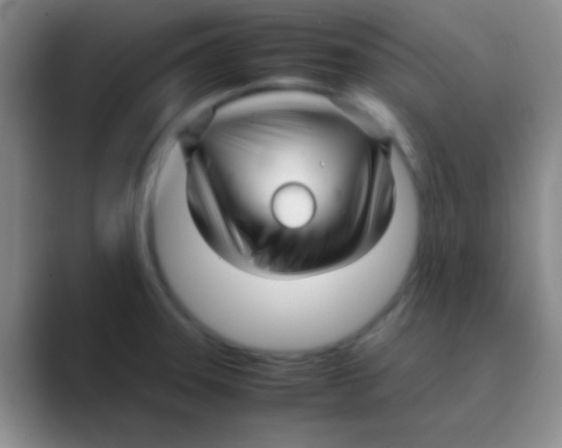 X0000088721331200706282056