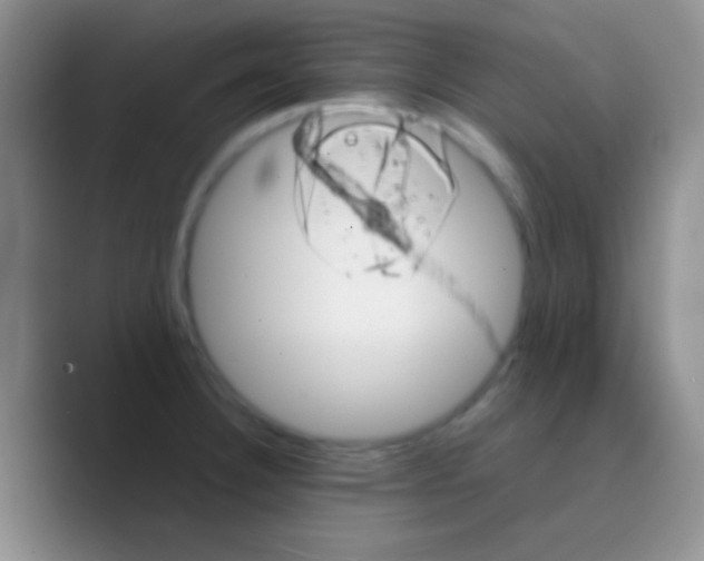 X0000088721332200706282056