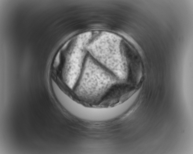 X0000088721333200706282056