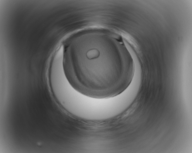 X0000088721334200706282056