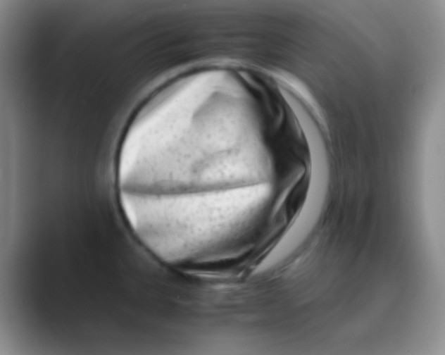 X0000088721335200706282056