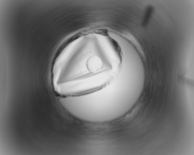 X0000088721336200706282056