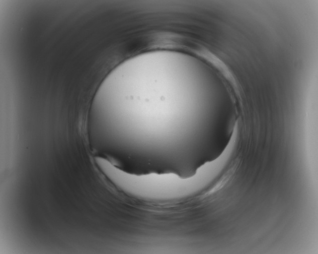 X0000088721337200706282056