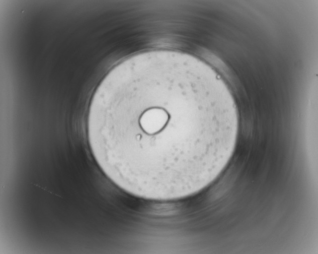 X0000088721338200706282056