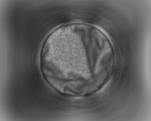 X0000088721341200706282056