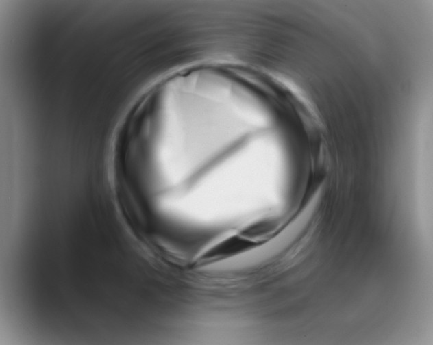 X0000088721342200706282056