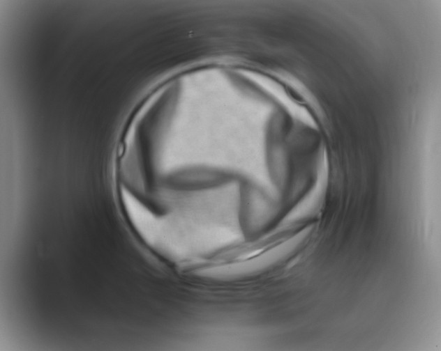 X0000088721343200706282056