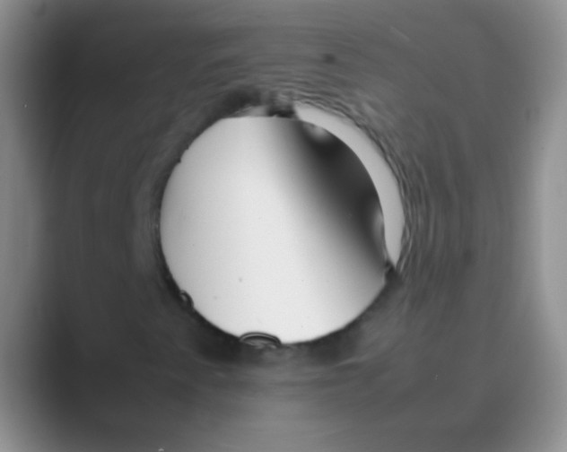 X0000088721345200706282055