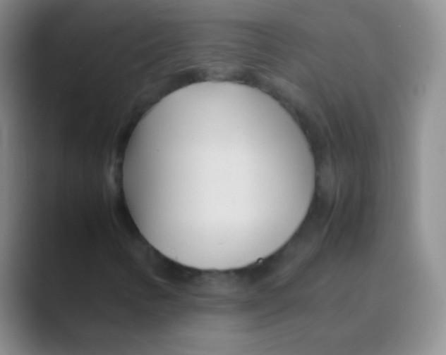 X0000088721346200706282055