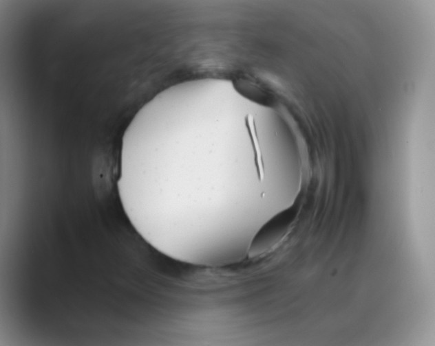 X0000088721348200706282055